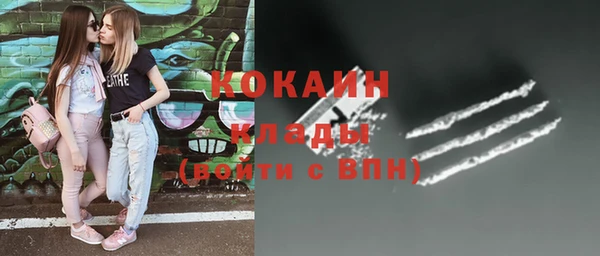 дмт Алексин